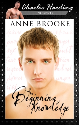 The Beginning of Knowledge - Anne Brooke